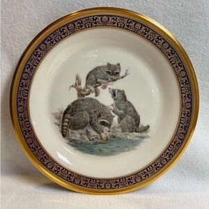 Lenox presents raccoons